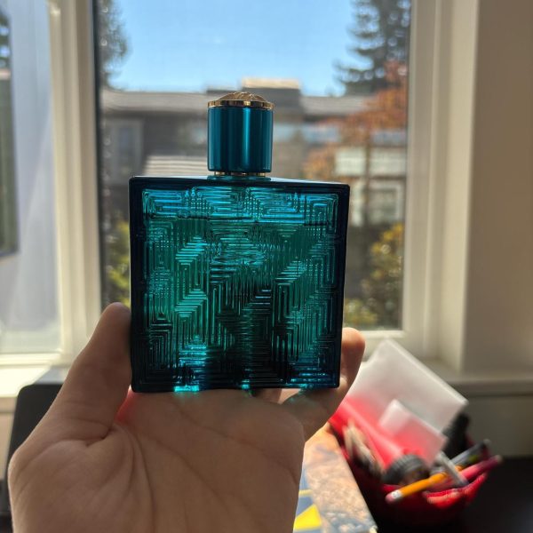 Versace Men's Blue and Green Accessory