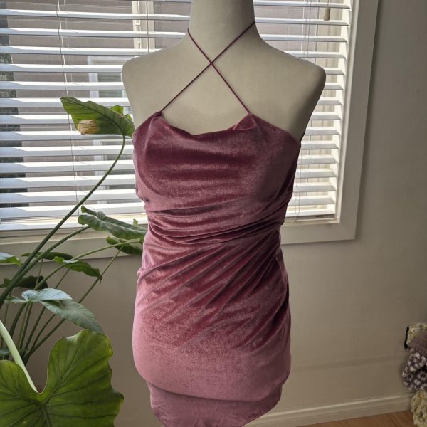 Women's Pink and Burgundy Dress