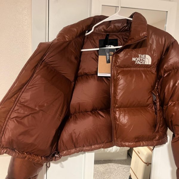 The North Face Women's Brown Coat